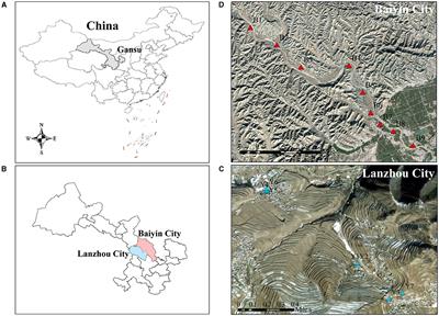 Bacterial–fungal interactions and response to heavy metal contamination of soil in agricultural areas